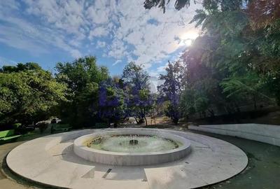 Investitie sigura! Vila de prestigiu - Cotroceni Eroilor - 6