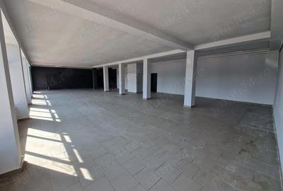 Spațiu comercial, de 530 mp, în Lacurile - 7