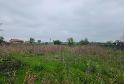 Casă cu 3 camere în Rogova - 3