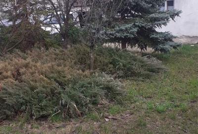 Casă cu 4 camere în Balotești - 1