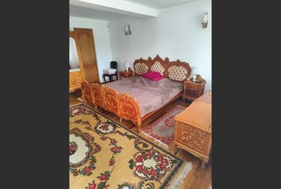Vila spațioasă 5 dormitoare, Provita de Jos - 11