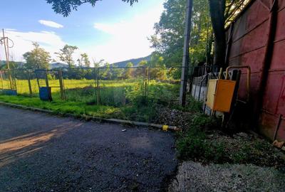 Teren 1,749mp Piatra-Neamt / Strada Zambilelor - 18