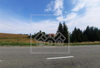 Teren Construcții intravilan de 800 mp, în Păltiniș