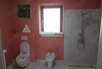 Casă cu 3 camere cu Teren 1439 Mp în Ronaț - 3