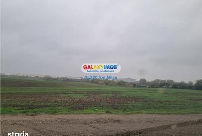 Teren de 10000 mp, în Pantelimon