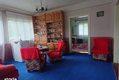 Casă cu 4 camere cu Teren 2651 Mp în Baia de Criș - 18