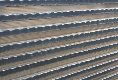 Casă în Radu Negru - 2