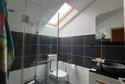 Casă individuală cu 4 camere cu Canalizare în Andrei Mureșanu - 19