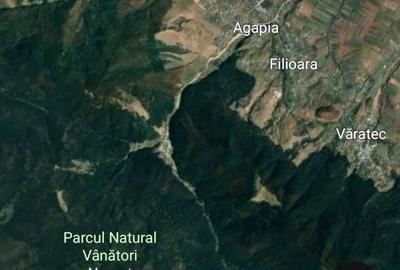 Spațiu comercial, în Filioara - 8