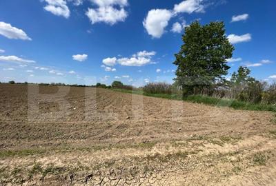 Teren 700mp, zona strada Careiului - 1