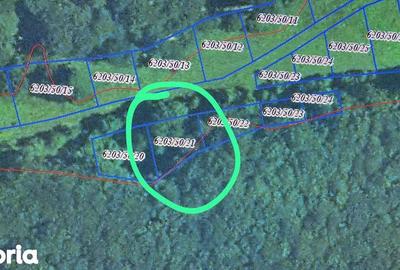 Teren de 440 mp, în Dumbrăvița - 1