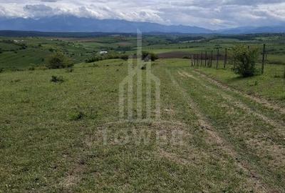 De vanzare, teren 11.500 mp – Dealul Dăii,  Vedere panoramică spre munți și lac - 2