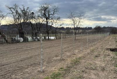Casă cu 4 camere cu Teren 1000 Mp în Central - 1