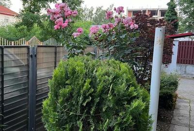 Casă cu 8 camere cu Canalizare în Iancu Nicolae - 26