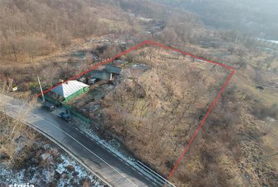 Casă cu 3 camere cu Teren 6856 Mp în Dumitrești - 3