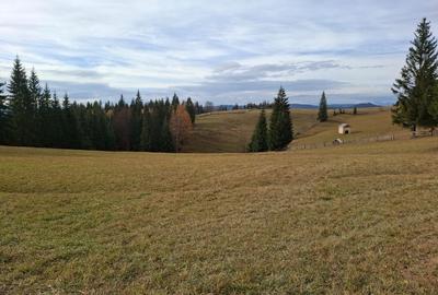 Teren vanzare intro o zona linistita. - 2