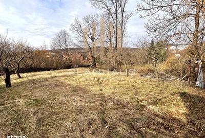 Casă cu 4 camere cu Teren 2300 Mp în Valea Borcutului - 10