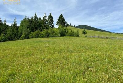 Teren intravilan Colibita cu utilitati 3000 mp - 7