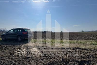 Teren intravilan de 1600 mp, în Sud - 3