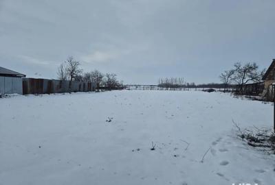 Teren de 140000 mp, în Foeni - 3