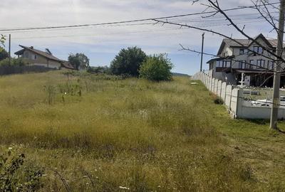 Teren de 1000 mp, în Hinova - 3