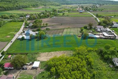 Teren de vanzare, Sat Valea Mare, Com. Ro?iori, Bacau - 2