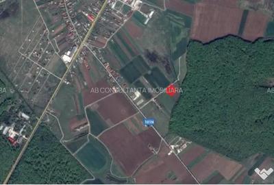 Teren de 620 mp, în Izvorani - 4