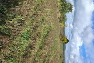 Casă cu 4 camere cu Teren 4316 Mp în Breazova