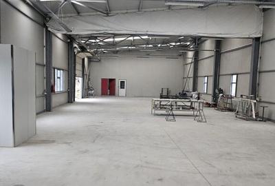 Spațiu comercial, de 437 mp, în Domnești - 2