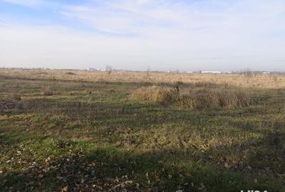 Teren de 1000 mp, în Central - 5