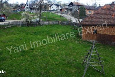 Casă cu 2 camere cu Teren 5800 Mp în Valea Danului - 3