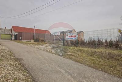 Casă cu 7 camere cu Canalizare în Crizbav