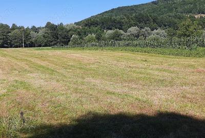 Teren de 3943 mp, în Negreni - 5