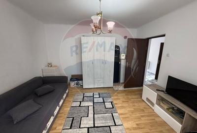 Casa  de vanzare -Orbic-Buhusi - 12