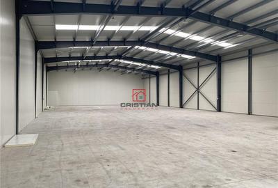 Depozit/hala/spatiu industrisl Jilava - Giurgiului - Progre - 5