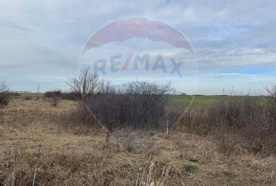 Teren agricol intravilan de 13800 mp, în 6 Vânători - 3