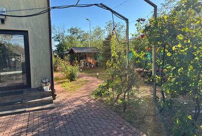 Proprietar vila spatioasa cu 7 dormitoare mobilata si utilata - 6