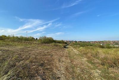 Teren Construcții intravilan de 1239 mp, în Săldăbagiu de Munte - 3