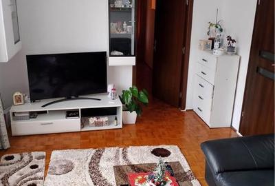 Apartament cu 2 camere nedecomandat în Terezian - 2