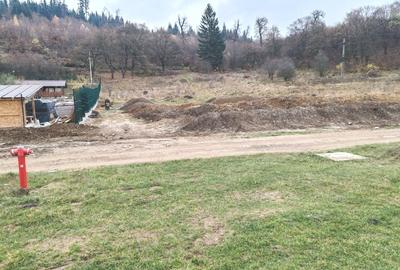 Investitie sigura: teren intravilan extrordinar, cu deschidere la padure - 2