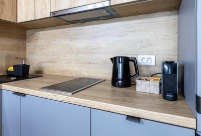 Apartament cu 2 camere semidecomandat în Domenii - 7