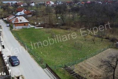Spațiu comercial, în Dobrotu - 3