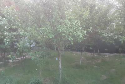 Casă cu 7 camere cu Teren 284 Mp în Nicolae Grigorescu - 2