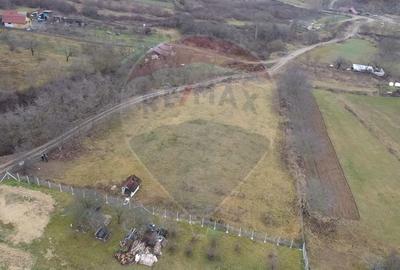 Teren extravilan de 3826 mp, în Moldovenești - 2