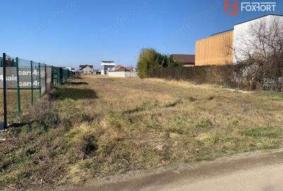 Teren de 2244 mp, în Dumbrăvița
