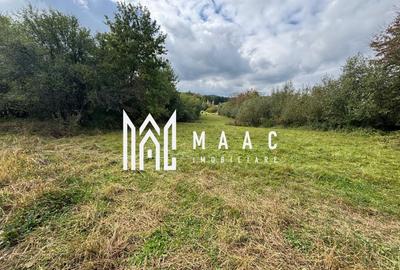 Teren agricol intravilan de 4717 mp, în Sadu - 1