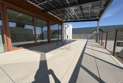 VILA | 6 CAMERE | PIPERA - 28