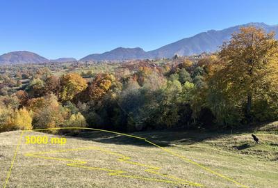 Teren valoros 2,000mp BRAN/Utilitati/Pensiune/Priveliste panoramica - 10