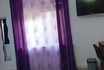 Apartament cu 2 camere decomandat în Amara - 4