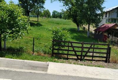 Teren de 3000 mp, în Racovița - 3